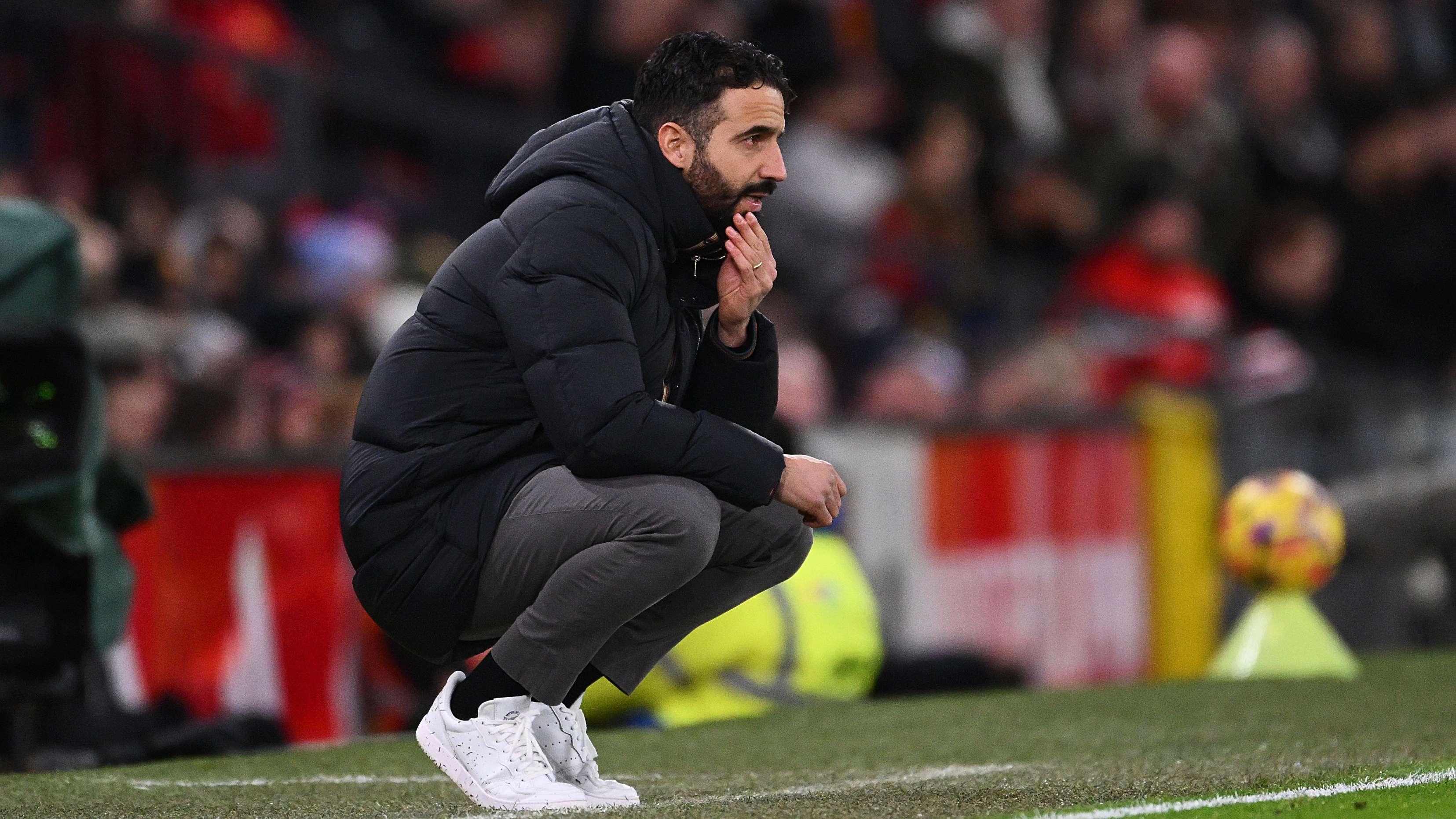 迅速适应了 迅速适应了