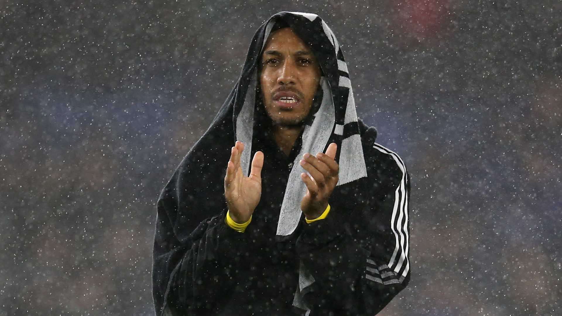 这样的案例 这样的案例